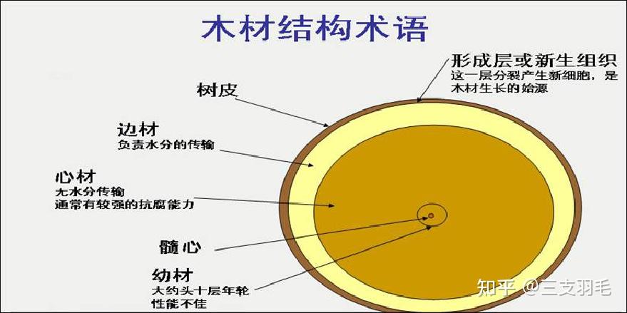 了解木材板材的结构特点及其影响