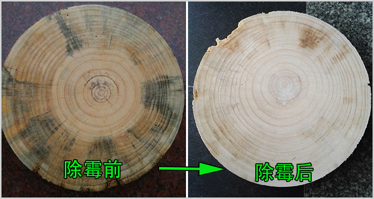 霉菌对木材板材的结构有何影响
