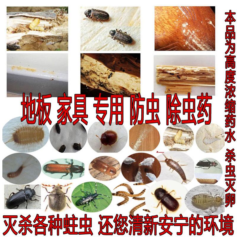 如何识别木材板材是否受到虫害